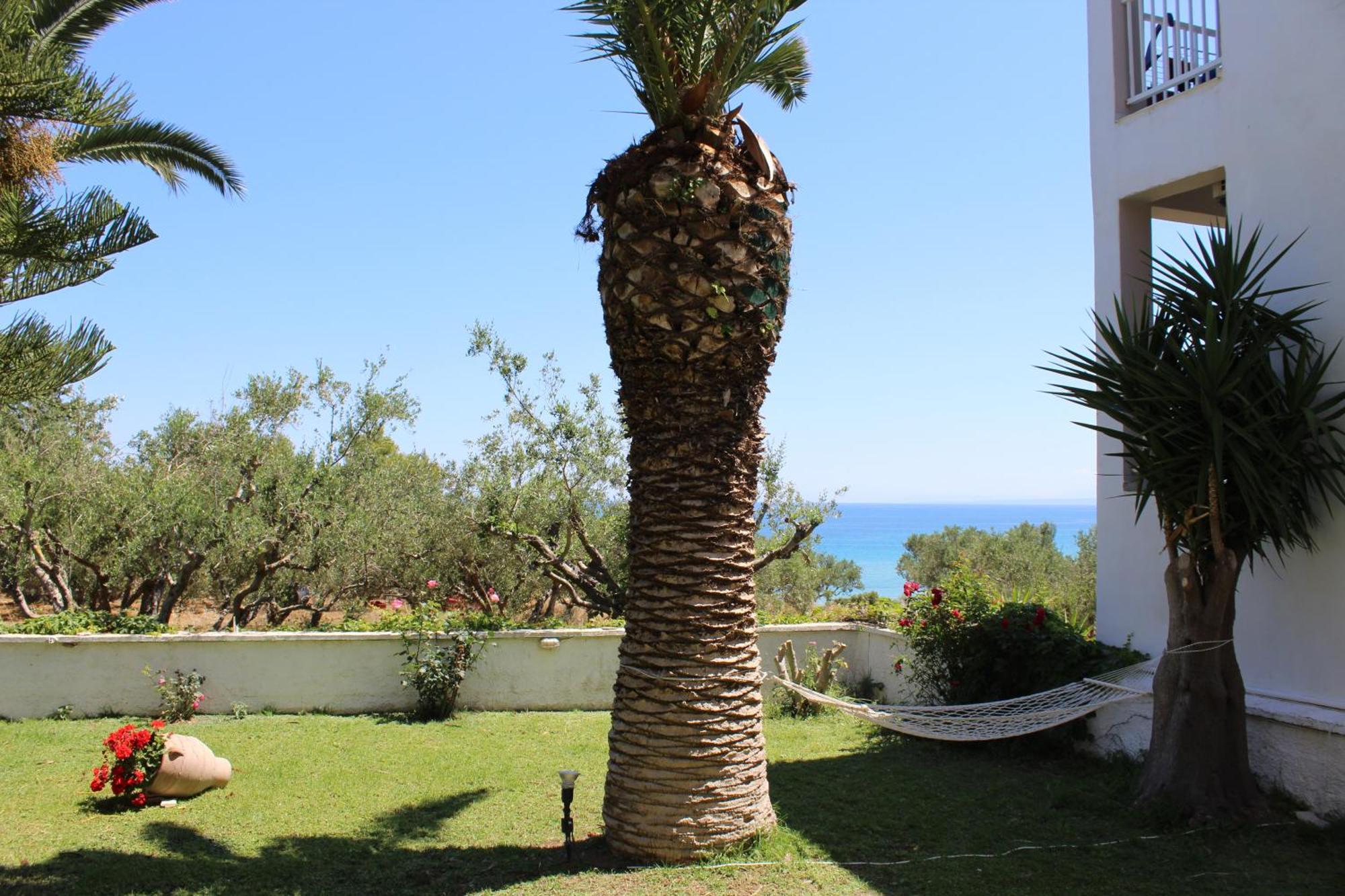 Panorama Studios & Apartments Amoudi Exterior foto